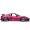 Porsche 718 CAYMAN GT4RS - Stage (au volant) Circuit Vaison Piste